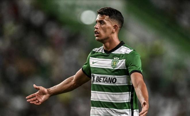 道的经验 道的经验