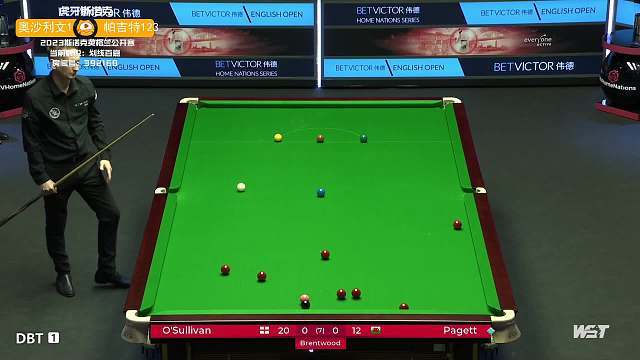 她的教练团 她的教练团