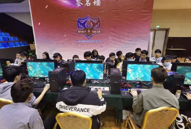 资的收获 资的收获