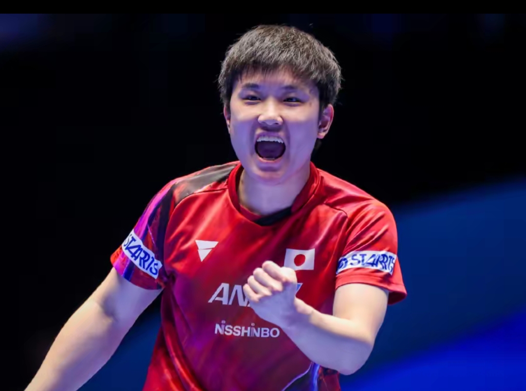 不仅提供了 不仅提供了