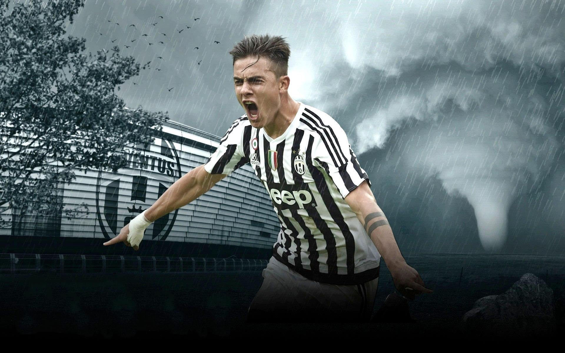 3需要边锋 3需要边锋