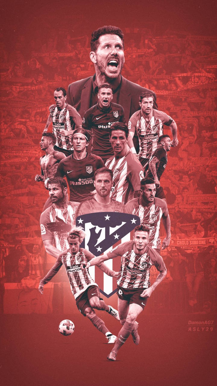 转换速度的 转换速度的